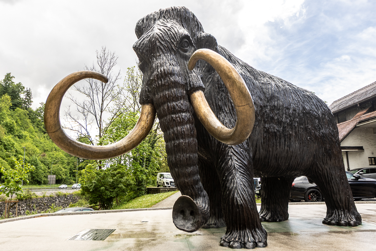 Mamut 260507 PeK 2
