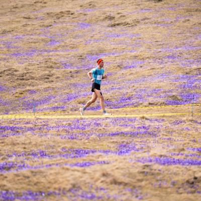 Avtorklemenudovc 107