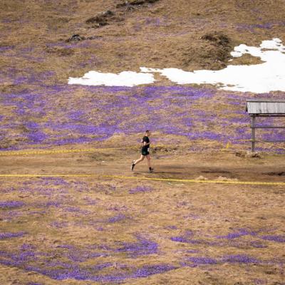 Avtorklemenudovc 115