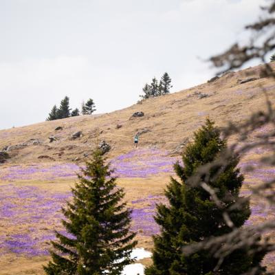 Avtorklemenudovc 121