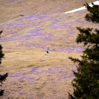 Avtorklemenudovc 122