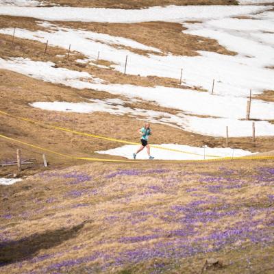 Avtorklemenudovc 123