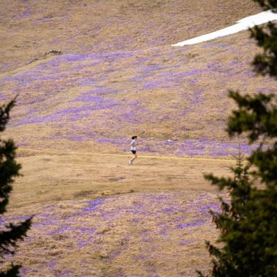 Avtorklemenudovc 128