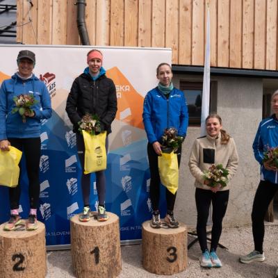 Avtorklemenudovc 132