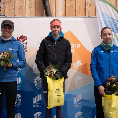 Avtorklemenudovc 133