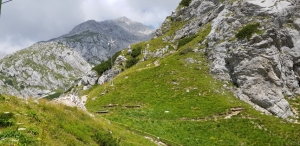 Rezultati teka na Grintovec